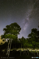 星夜の高原
