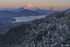 三寒四温