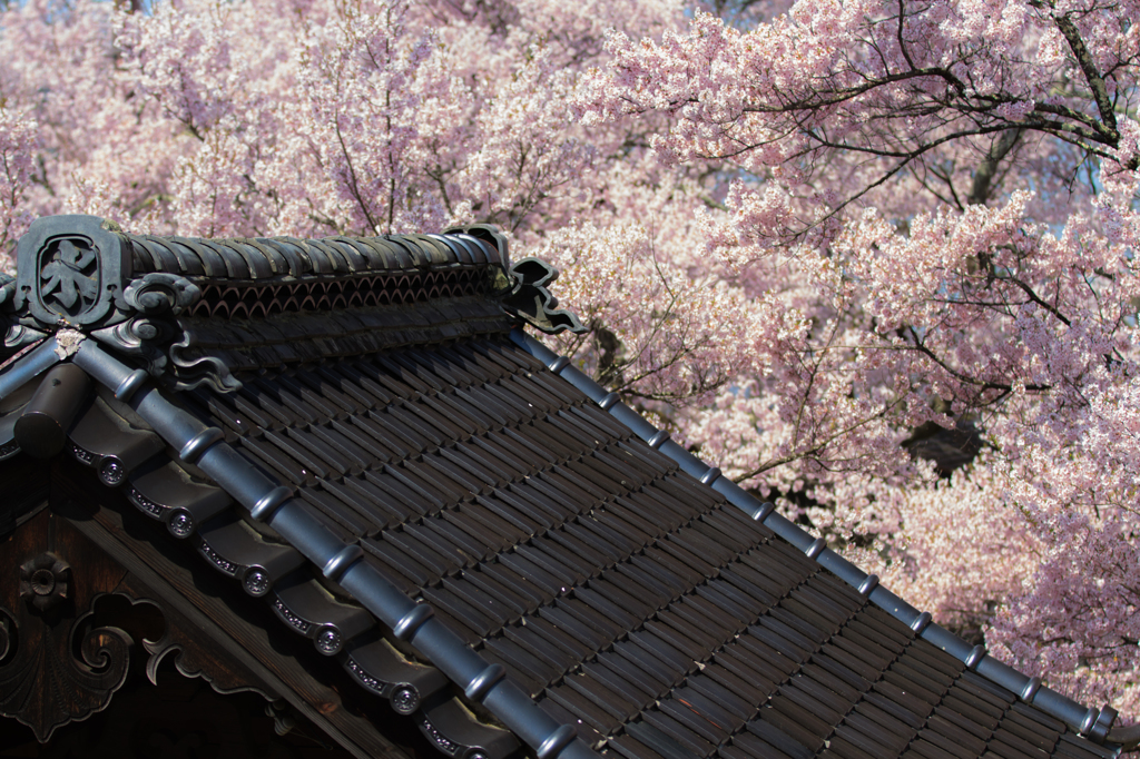 和の神髄