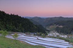 太陽と水の恵み
