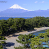 松風に聳え