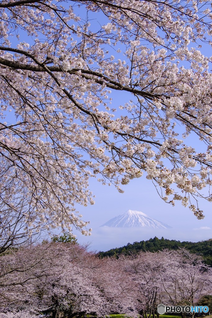 春彩に包まれて