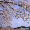 春彩に包まれて