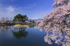 愛しき青空