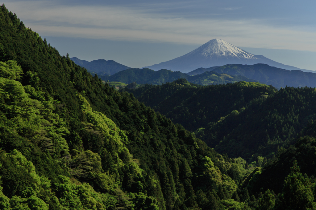 Valley of the fresh green