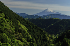 Valley of the fresh green