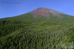 深緑に抱かれて