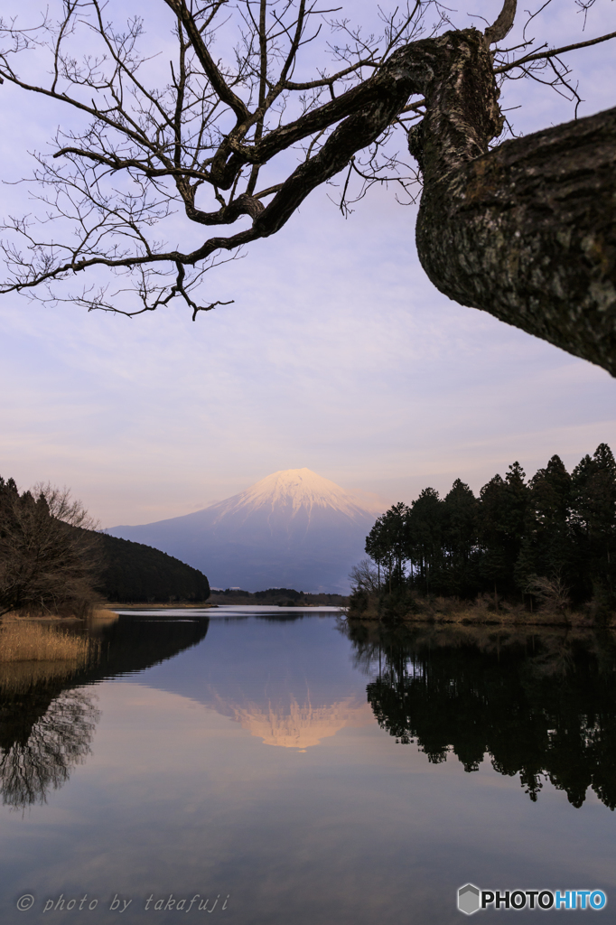 シンメトリー
