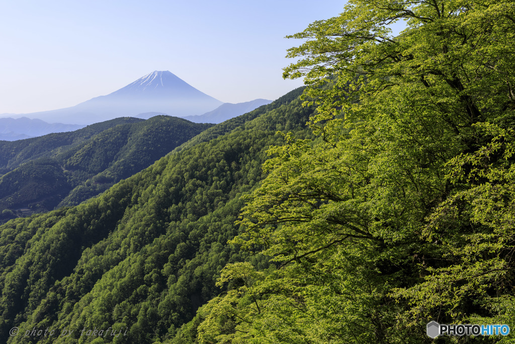 新緑に萌えて