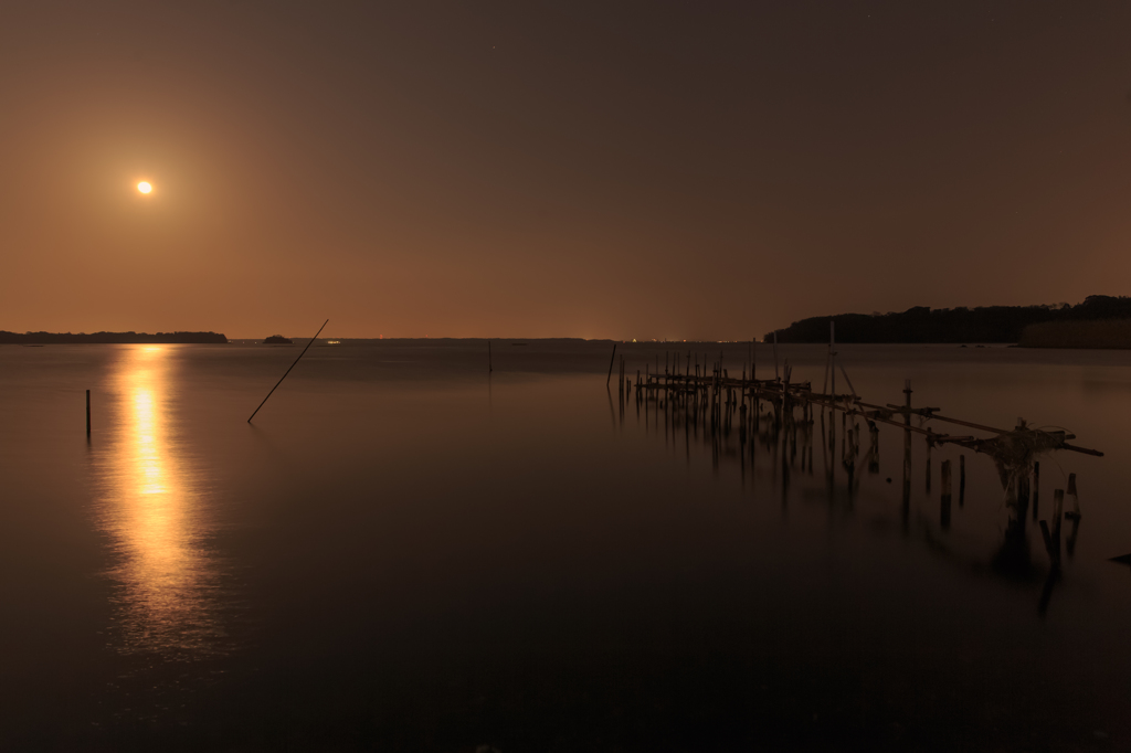 Rhapsody of the moonlit night