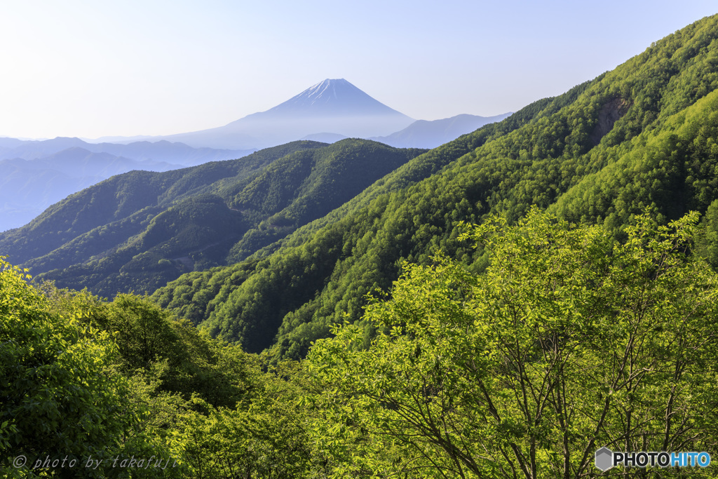 美しき新緑の彼方に