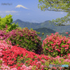 天空の花園