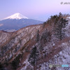 Pastel Morning