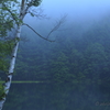 Dramatic Rain