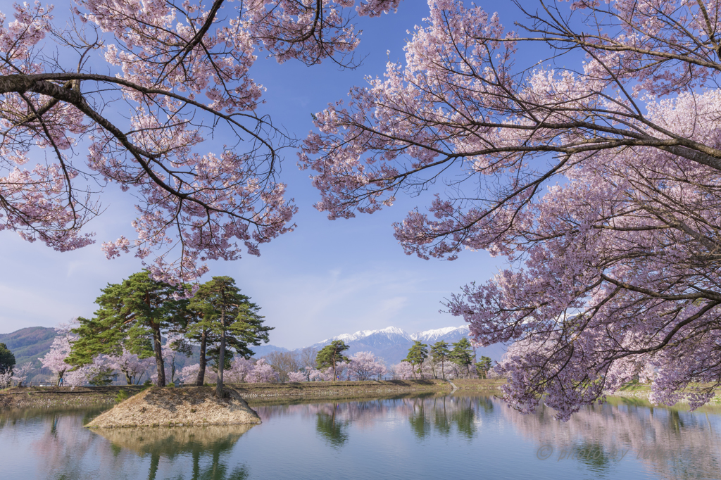 伊那春景