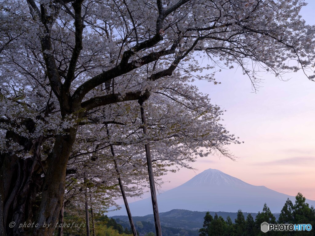春はあけぼの