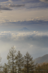 孤高の美 孤高の美