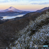 細雪と紅