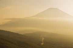 Shining　Gold