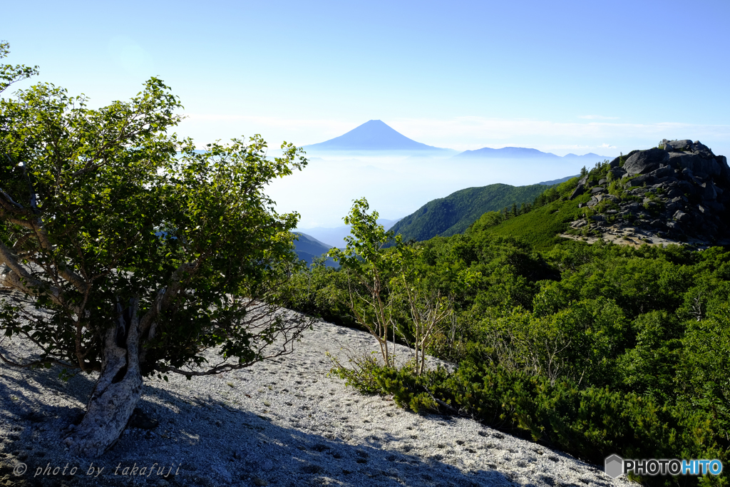 盛夏の秀峰