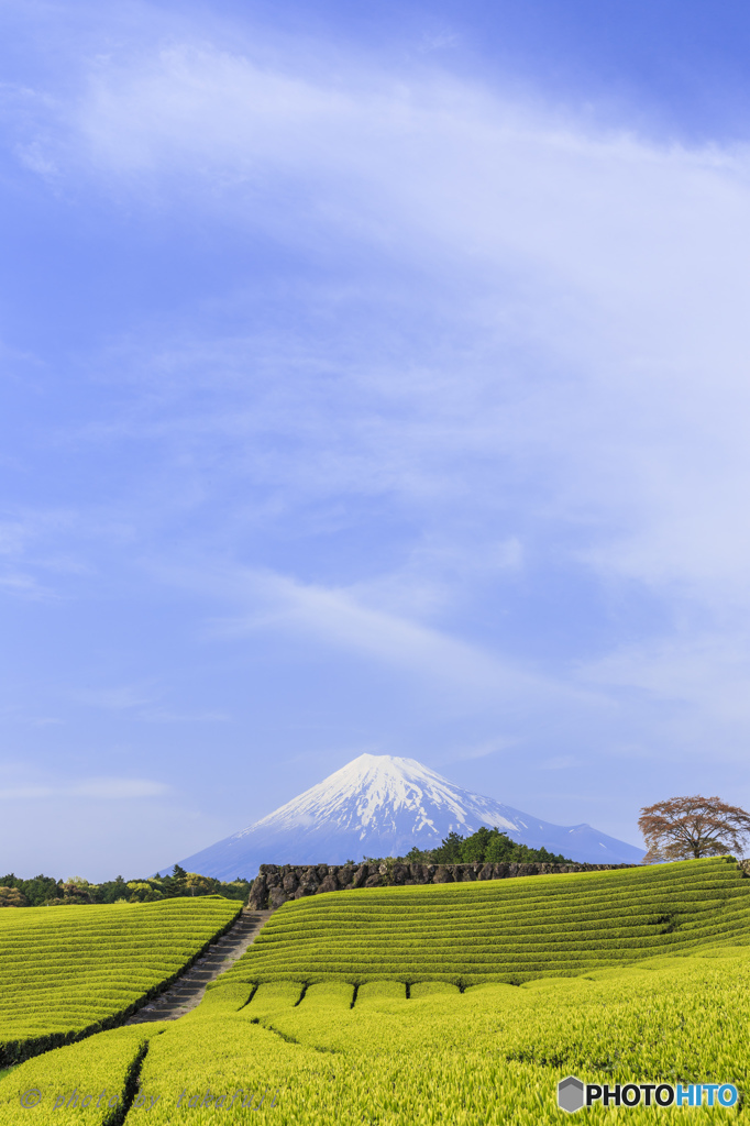 静岡チャチャチャ