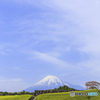 静岡チャチャチャ