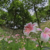 陰日向の特等席