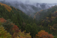 山肌漂いて