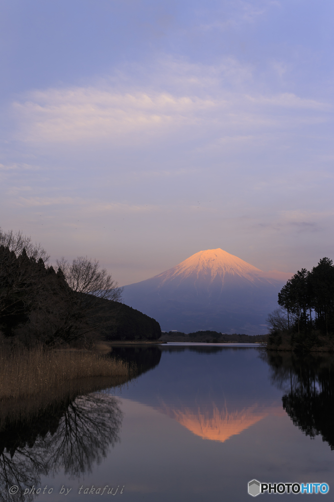 静観