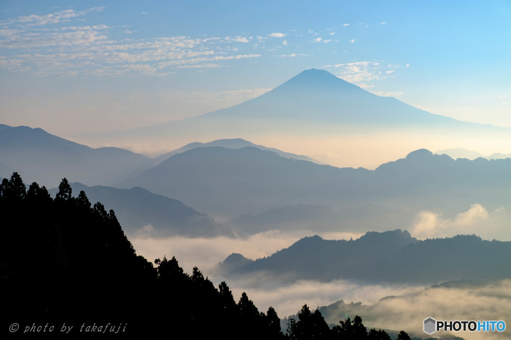 朝靄に浮かぶ