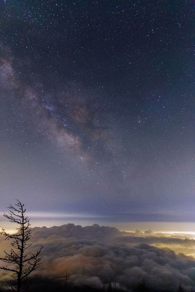 恋に落ちて　～Be in love with the starlit sky～