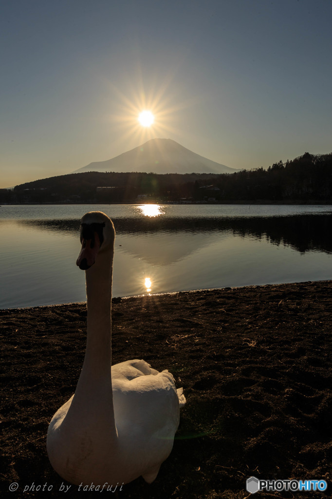 遊ぼうよぉ～♪