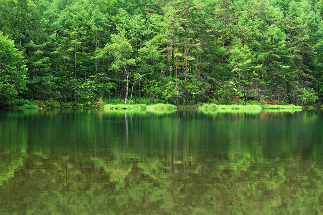 奥蓼科　御射鹿池