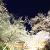 憧れの桜雲橋