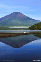 夏の記憶