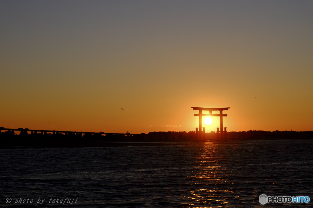 鳥と鳥居と撮り損ねｗ