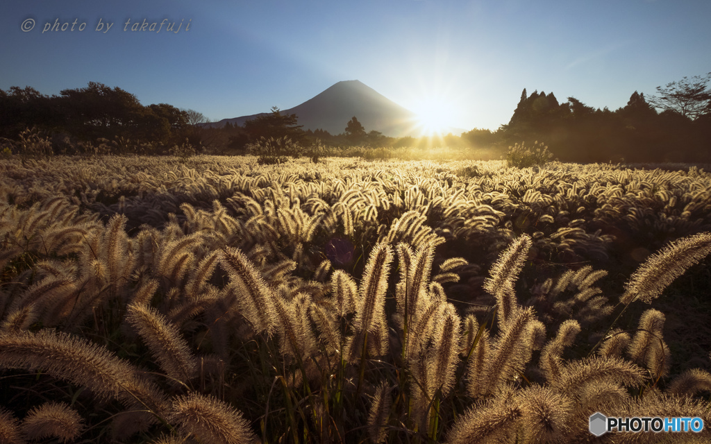 Goldrush