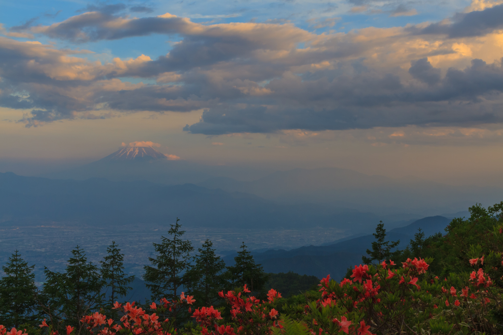 風林花山