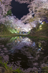 流浪の果て