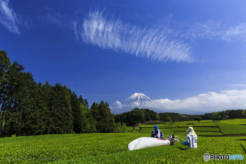 茶匠より心をこめて