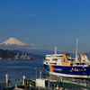 県道　２２３　フジサン