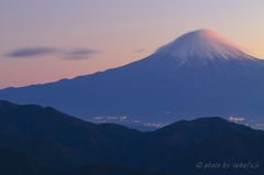 薄紅の風