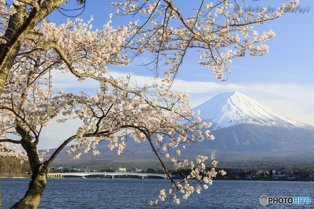 春陽浴びて