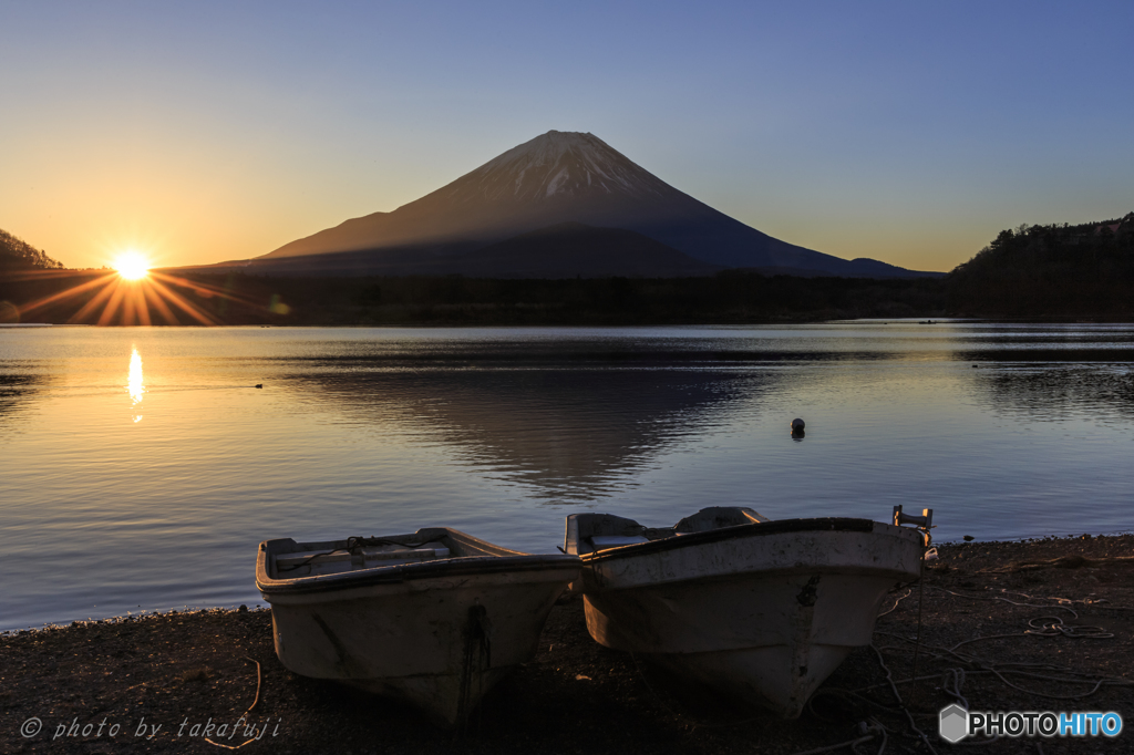 朝のお散歩
