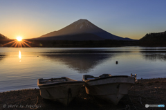 朝のお散歩