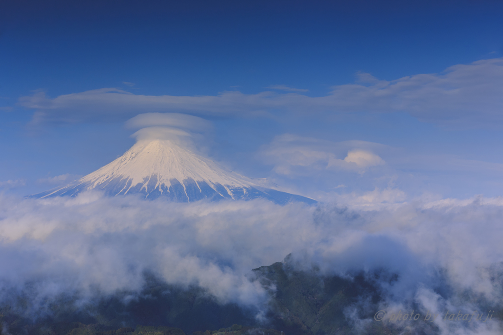 雨上がりのティアラ