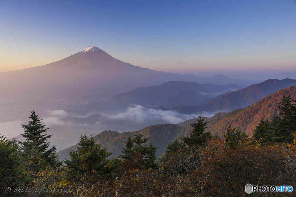 Mist in the morning
