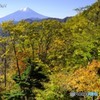 秋彩の彼方に