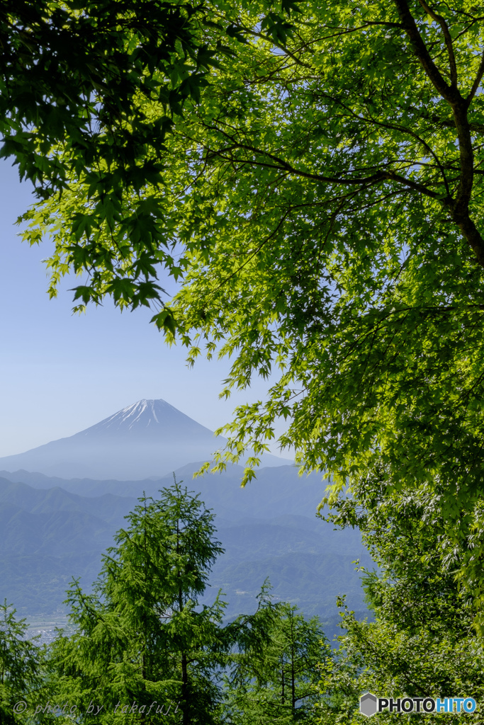 萌木の彼方に