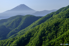 翠に抱かれて
